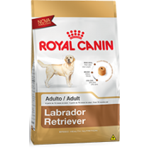 Labrador Retriever Adulto Royal Canin - 12 kg